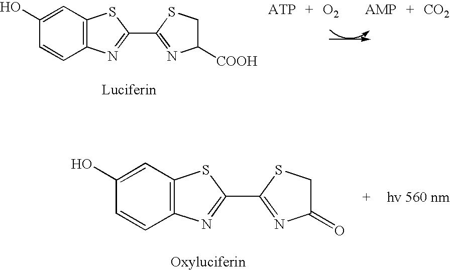 Figure US20100184185A1-20100722-C00002