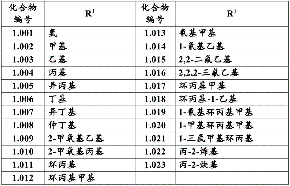 Figure BDA0002867242820000762