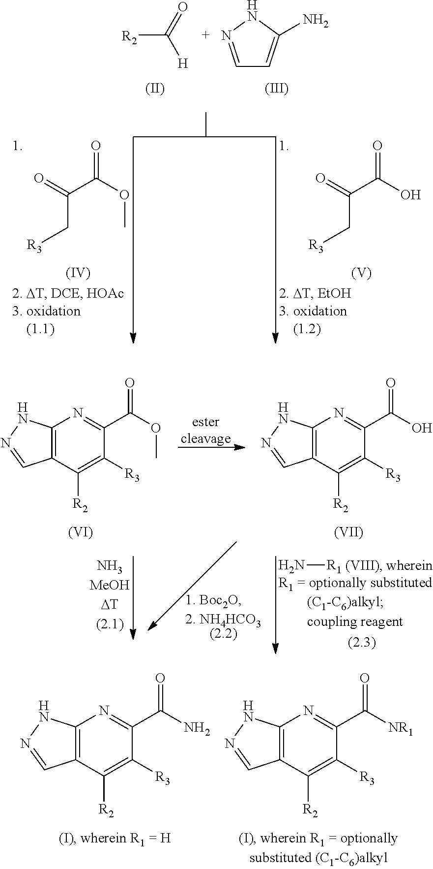 Figure US07910602-20110322-C00009