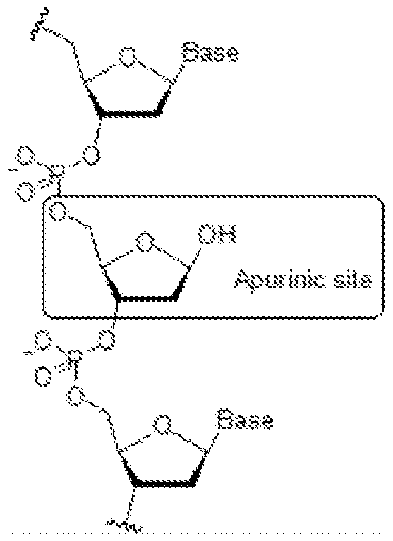Figure imgf000125_0002