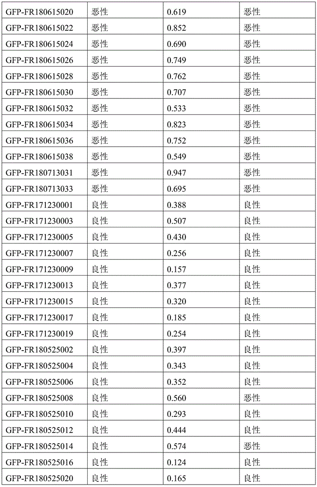 Figure BDA0003401061840000571