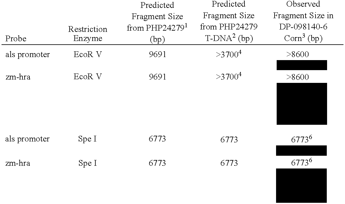 Figure US20090137395A1-20090528-C00007