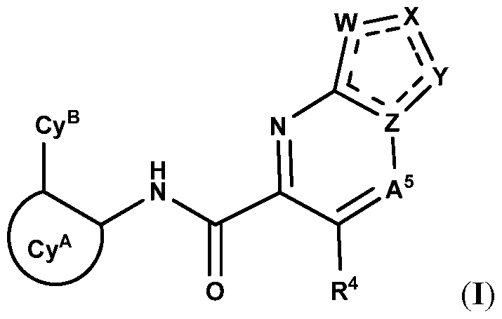 Figure imgf000004_0001