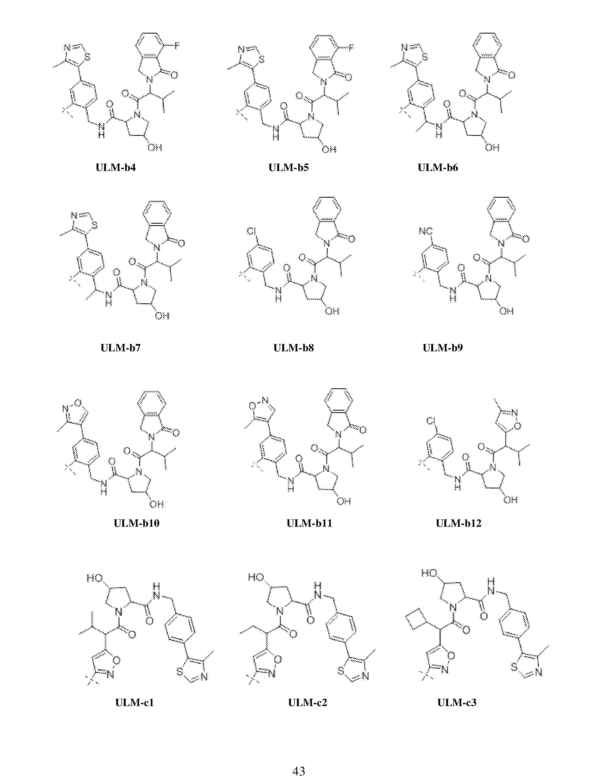 Figure imgf000044_0001