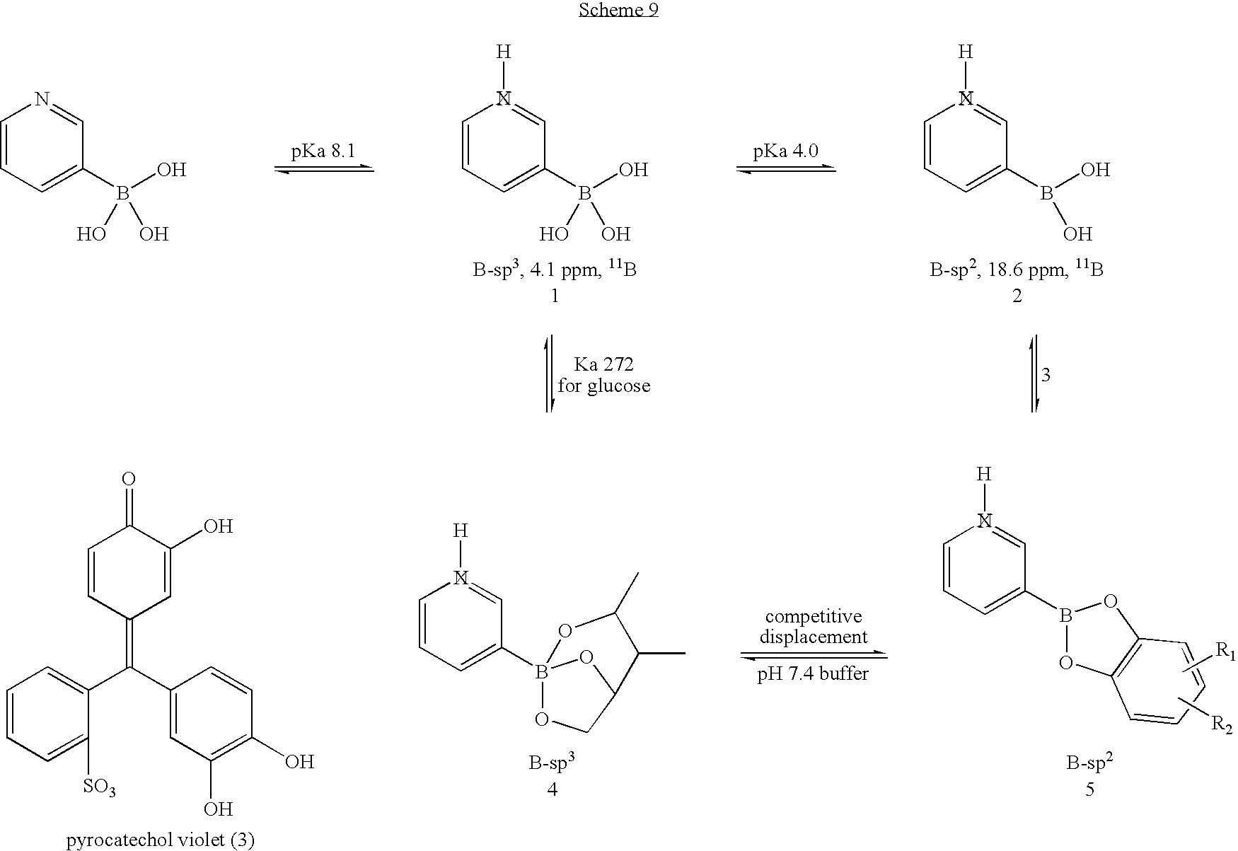Figure US20090251693A1-20091008-C00006