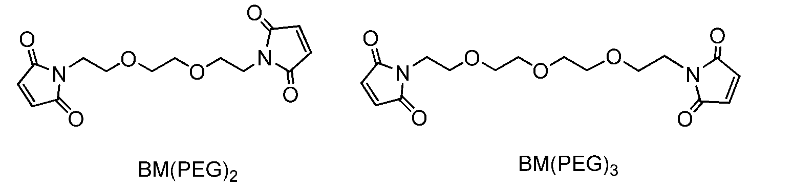 Figure 103121621-A0305-02-0081-38