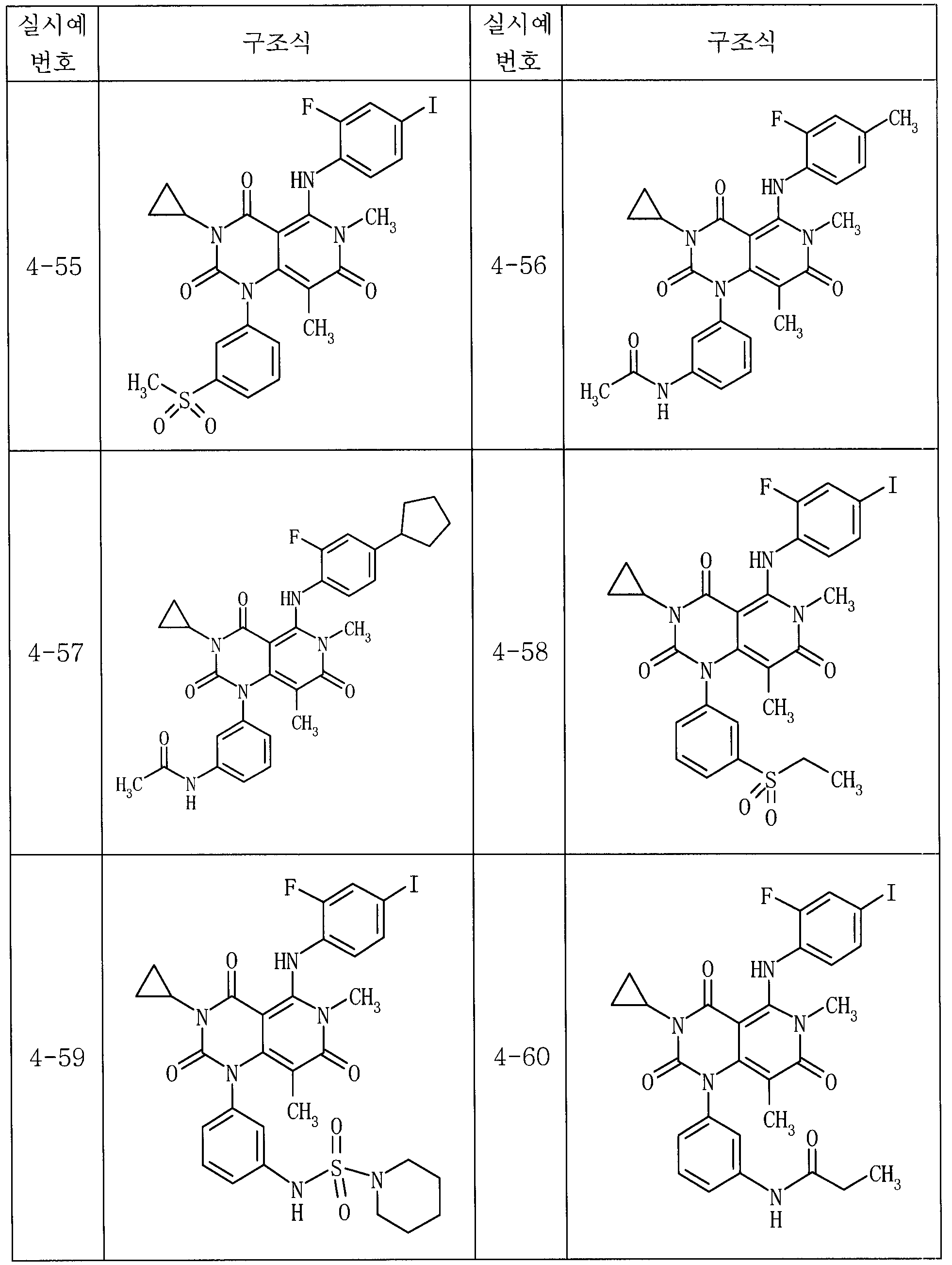 Figure 112007003005065-pct00187