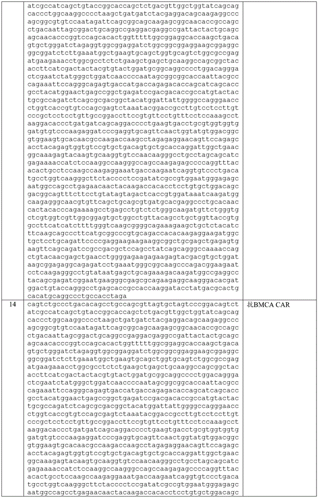 Figure BDA0003980595070001541