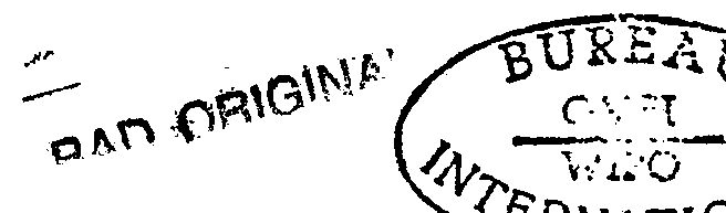 Figure imgf000007_0001