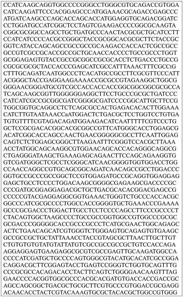 Figure BDA0002872168850002121