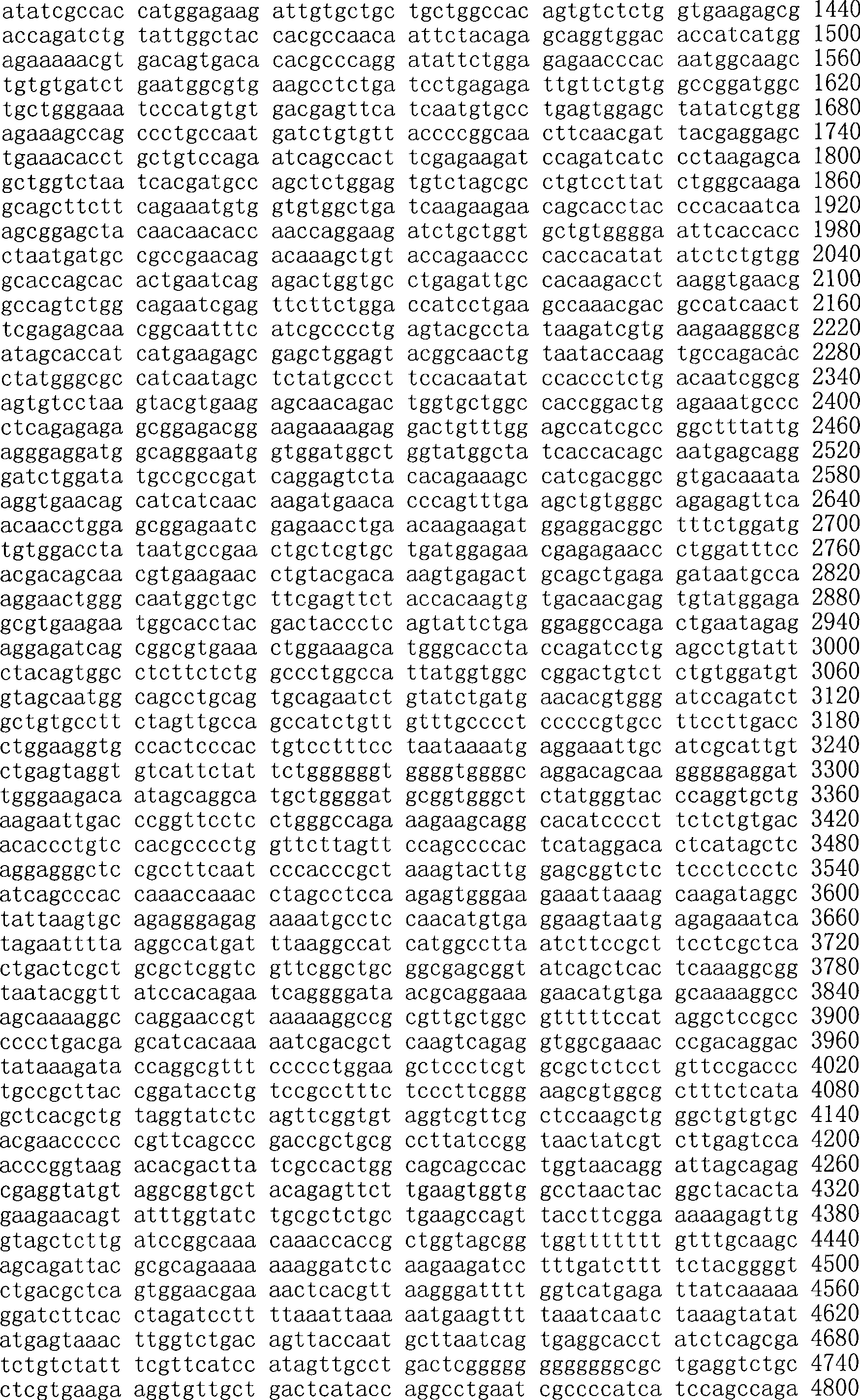 Figure A200780009494D03811