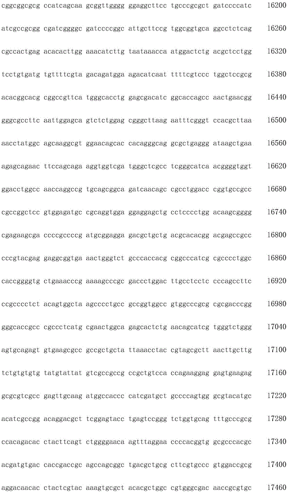 Figure IDA0002872168960001441