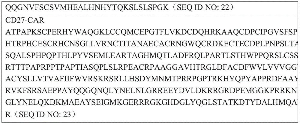 Figure BDA0003301515660000271