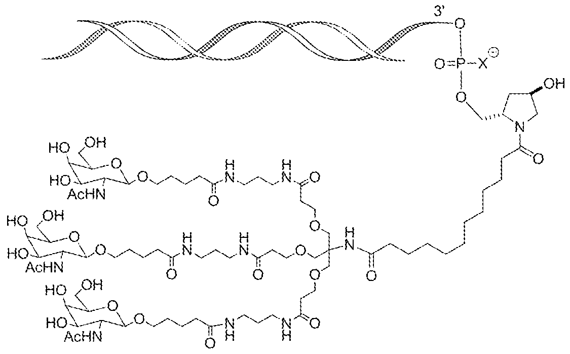 Figure imgf000011_0002