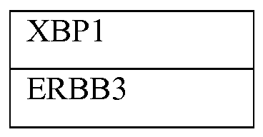 Figure imgf000010_0001