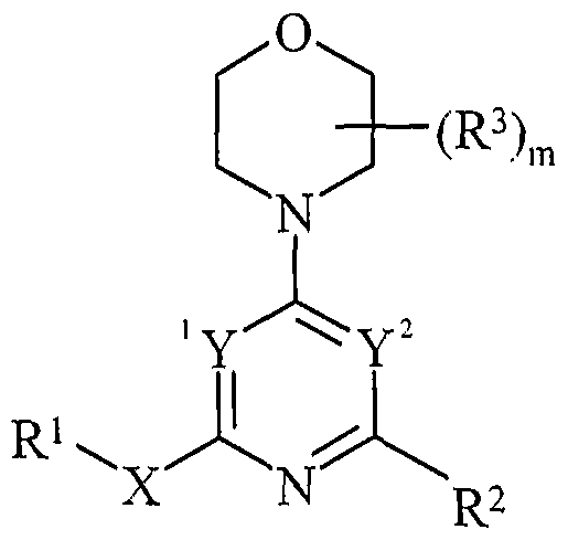 Figure imgf000010_0001