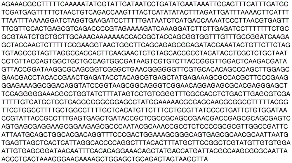 Figure BDA0003755608120001221