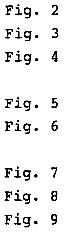 Figure imgf000005_0001