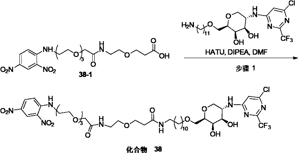 Figure BPA0000324887470005961