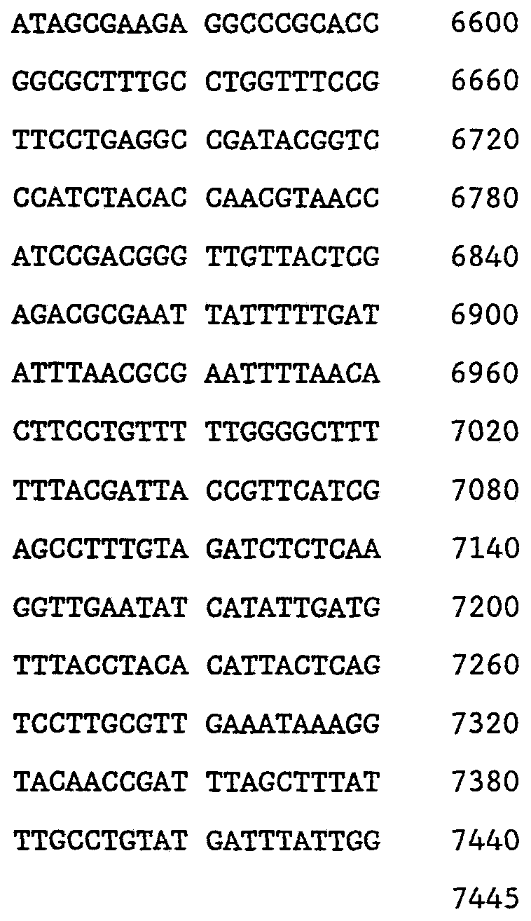 Figure imgf000048_0001