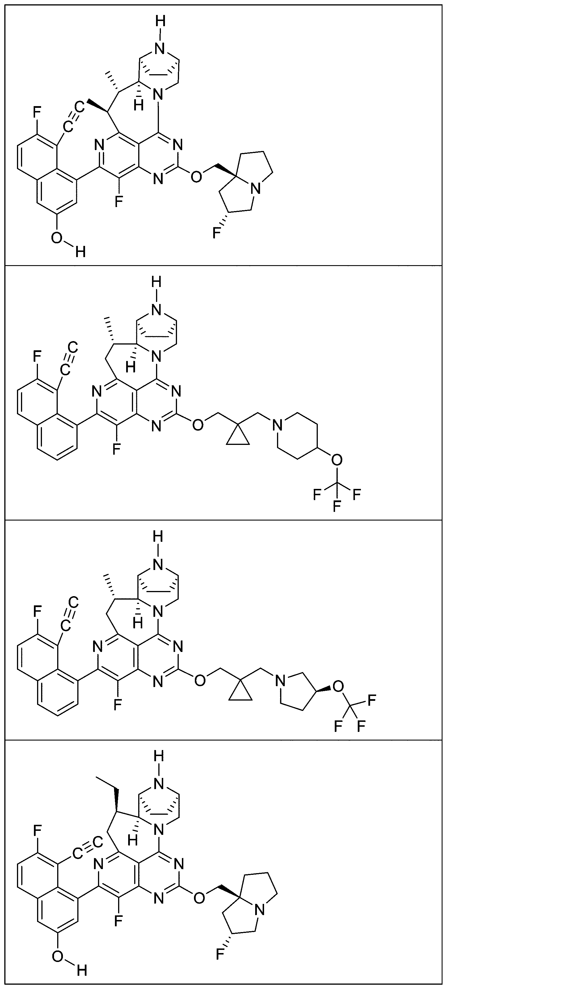 Figure 2025513258000089