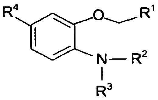 Figure imgf000012_0001