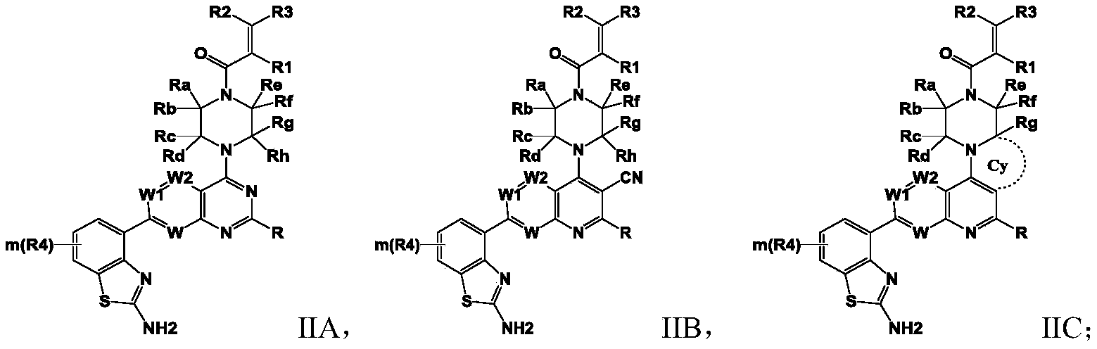 Figure PCTCN2020127861-appb-000022