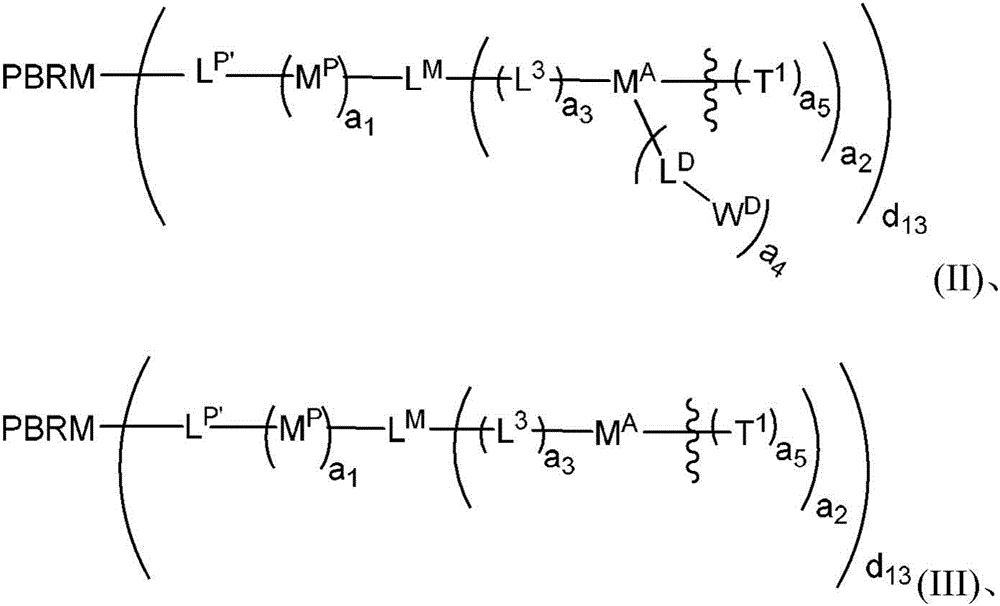 Figure FDA0003135424420000032