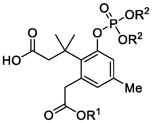 Figure imgf000077_0001