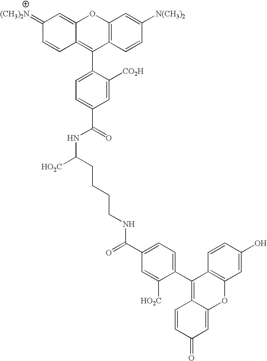 Figure US20070154927A1-20070705-C00121