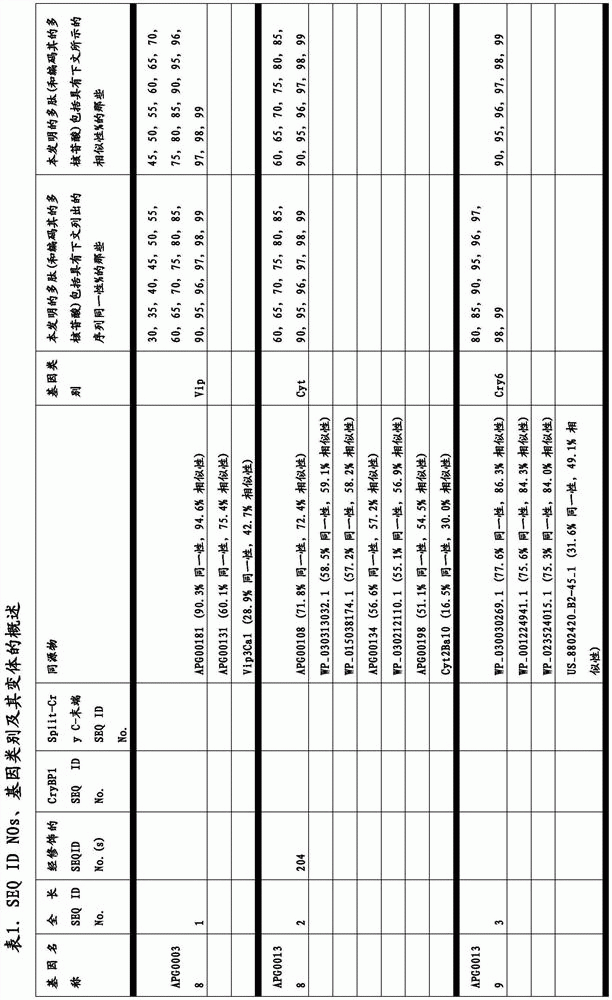 Figure BDA0003583901050000071