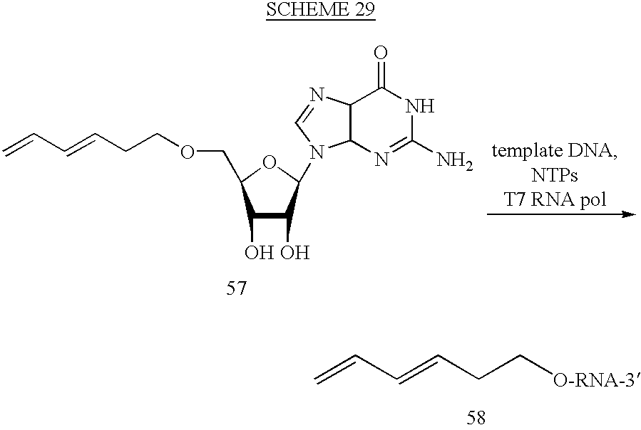 Figure US06737236-20040518-C00041