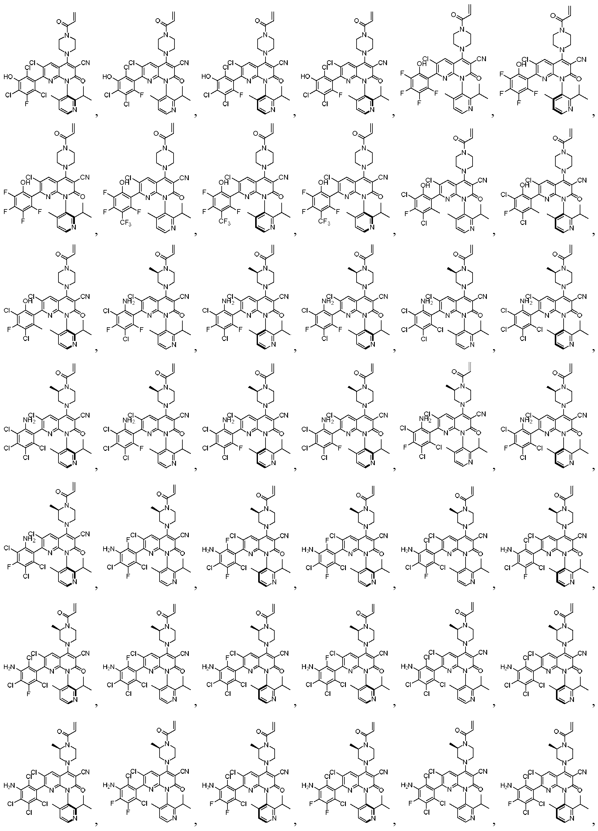Figure PCTCN2020137497-appb-100045