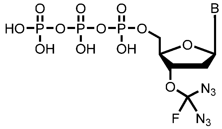 Figure imgf000242_0003