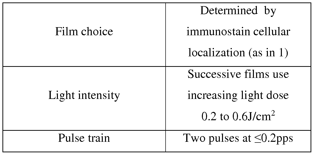 Figure imgf000050_0001
