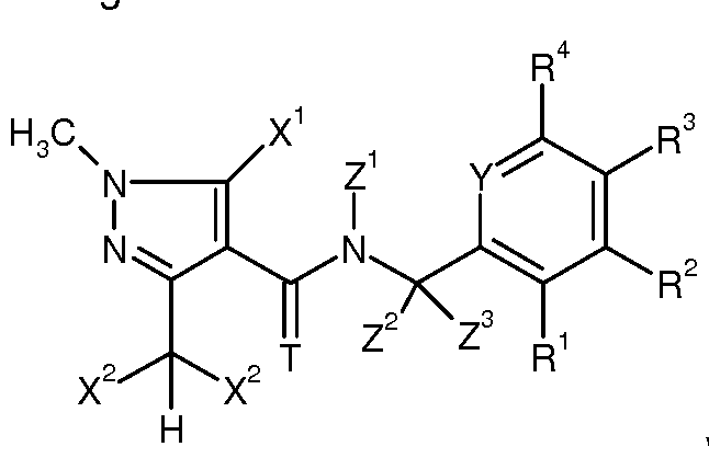 Figure imgf000003_0002