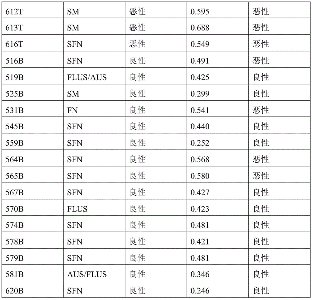 Figure BDA0003401061840000741