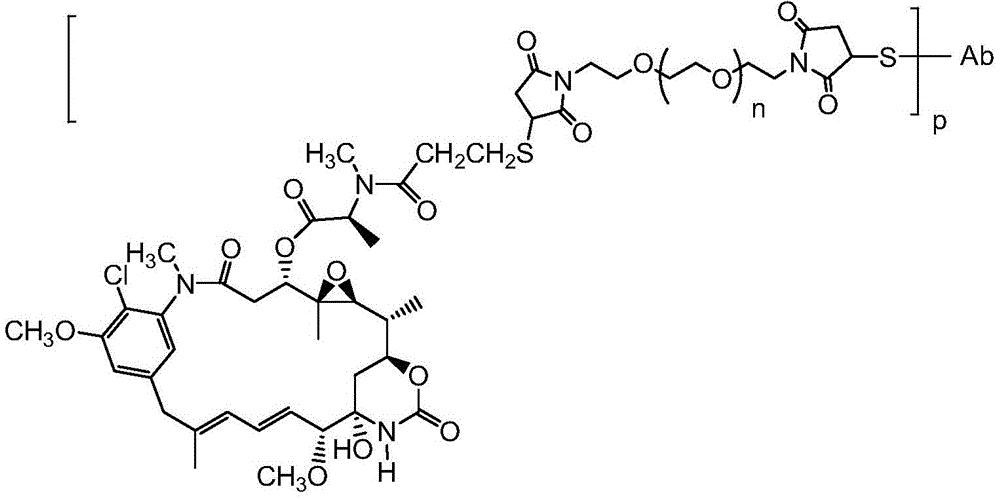 Figure FDA0003098573150000062