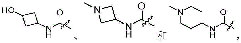 Figure FDA0002726624580000031