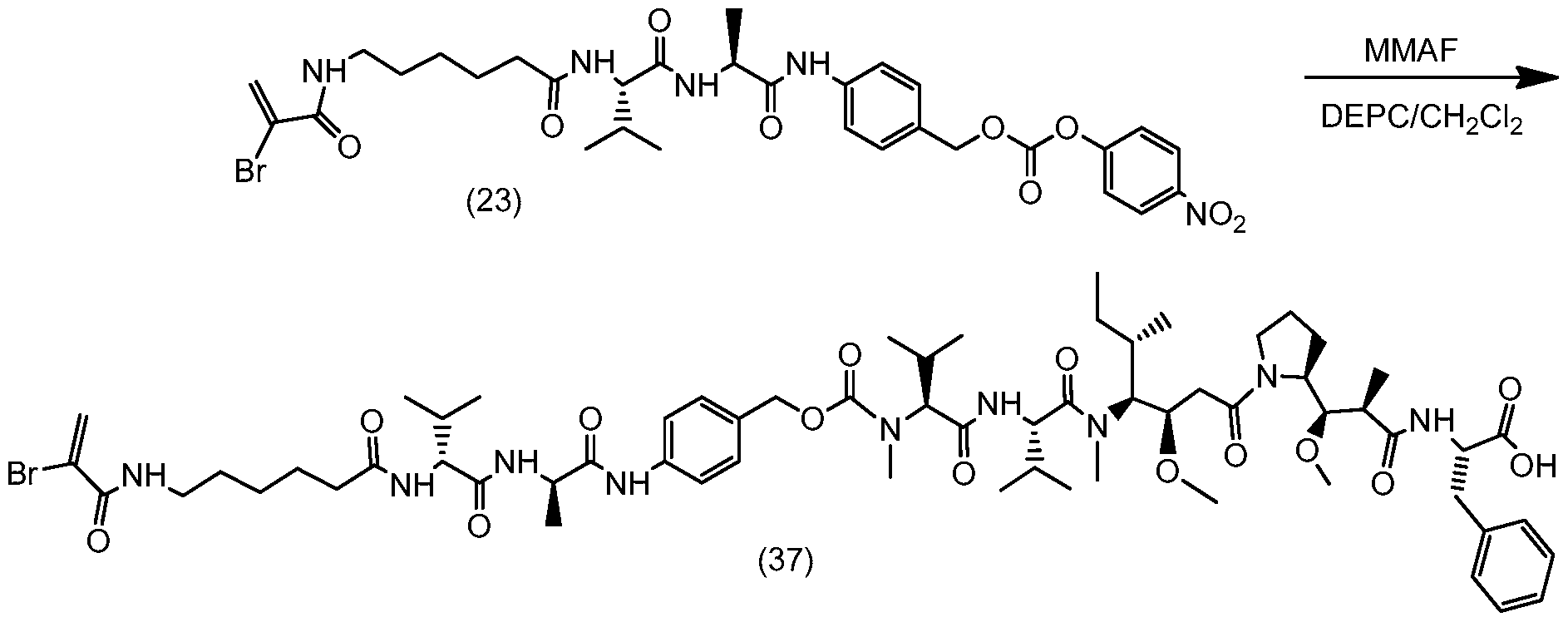 Figure imgf000187_0001