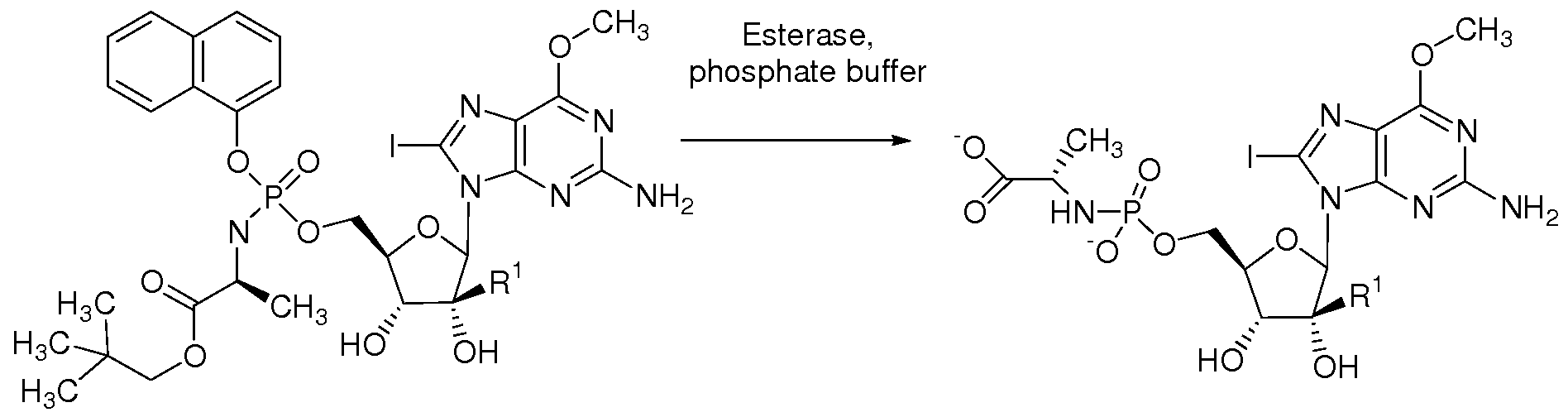 Figure imgf000043_0001