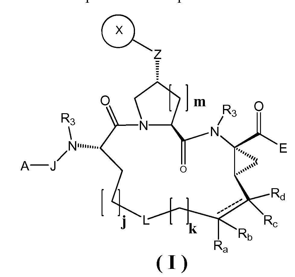 Figure imgf000006_0001
