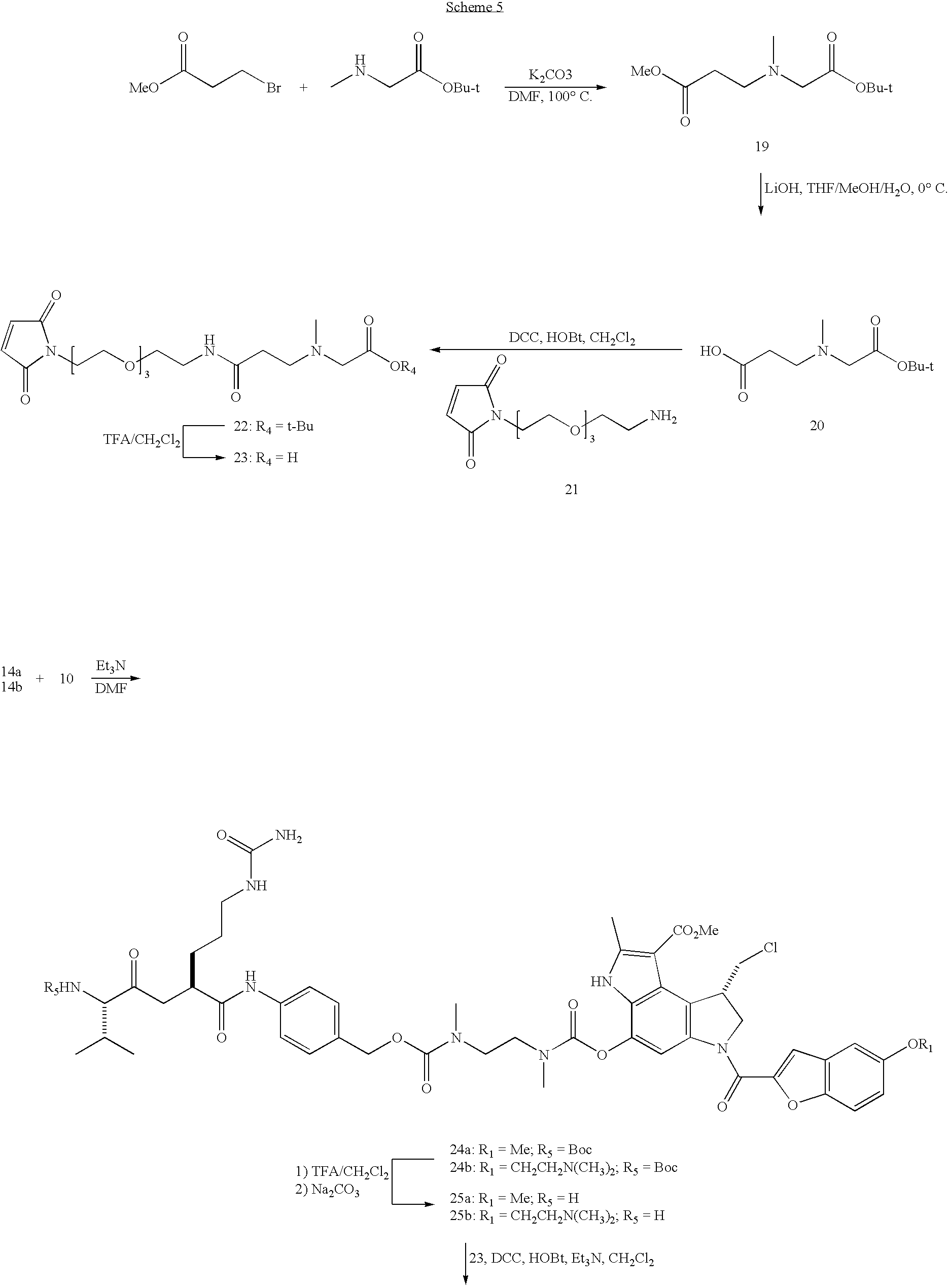 Figure US20080279868A1-20081113-C00095