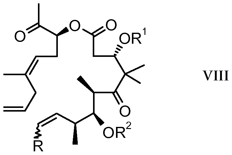 Figure imgf000033_0003
