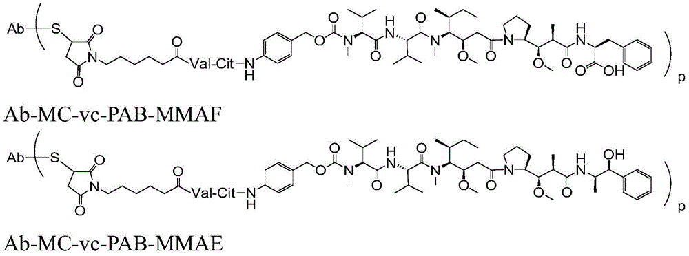 Figure BDA0003169464670001243