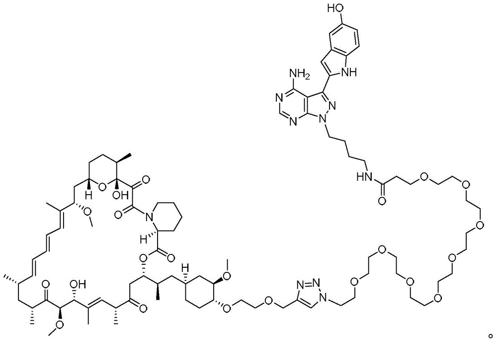 Figure FDA0003080200980000161