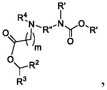 Figure BDA0003652566710001294