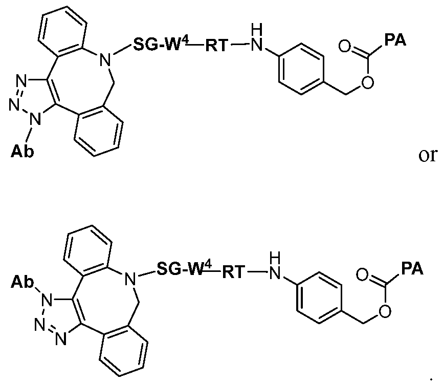 Figure imgf000061_0001