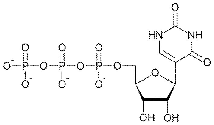 Figure imgf000147_0002