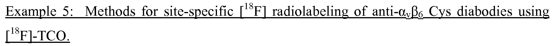 Figure imgf000056_0001